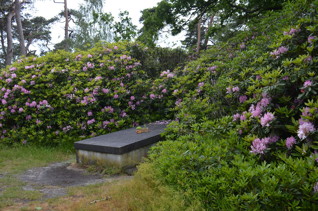 Cultuurhistorische wandeling