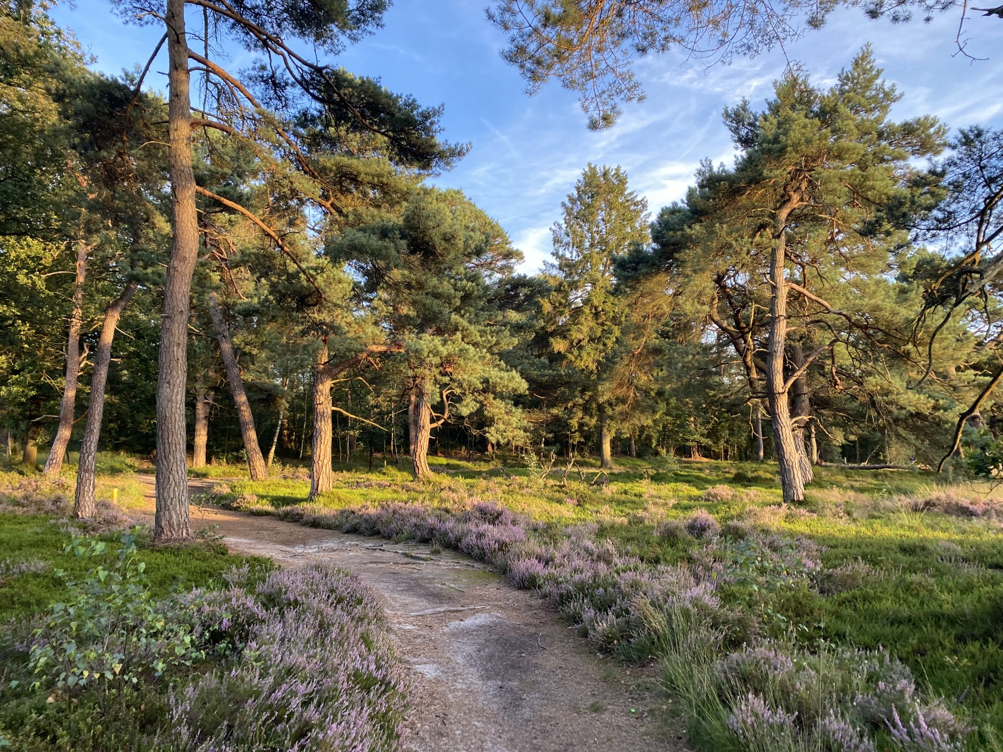 Natuurpad gids afbeelding